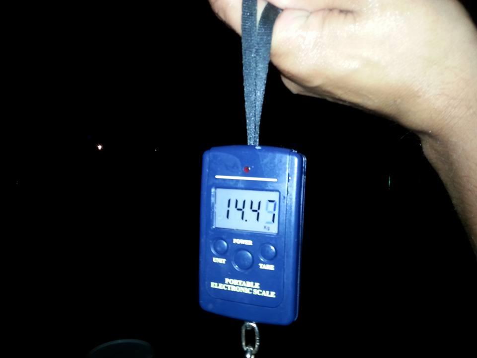 Moara Vlasiei 2 25 - 26 august 2015 - 11902504964169516955386632242915739117879n.jpg